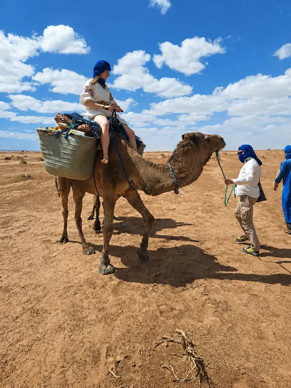 Dromedary ride in the desert