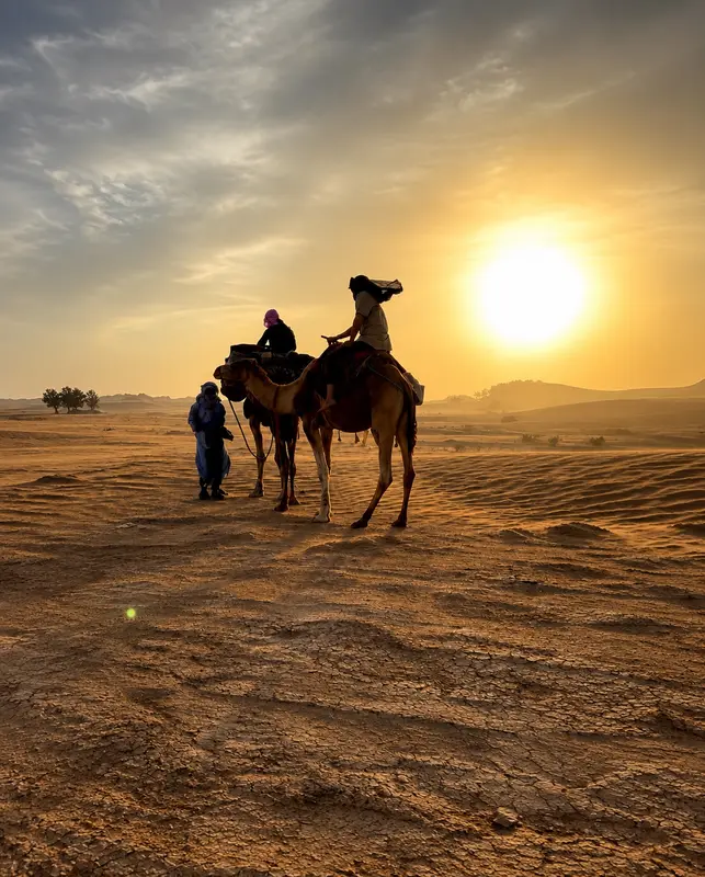 Camel ride at sunset