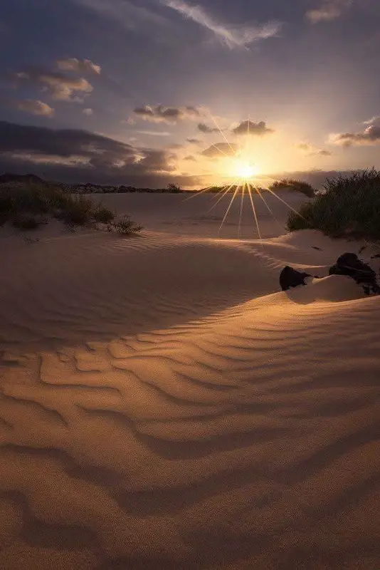Sand ripples at sunset
